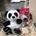 Caja cesta panda amoroso - regalos ideales - Imagen 1