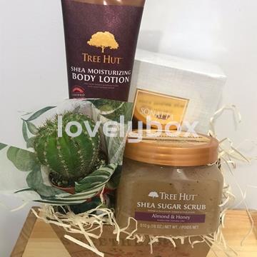 Caja macetero vintage tratamiento tropical - regalo personalizado - Imagen 2