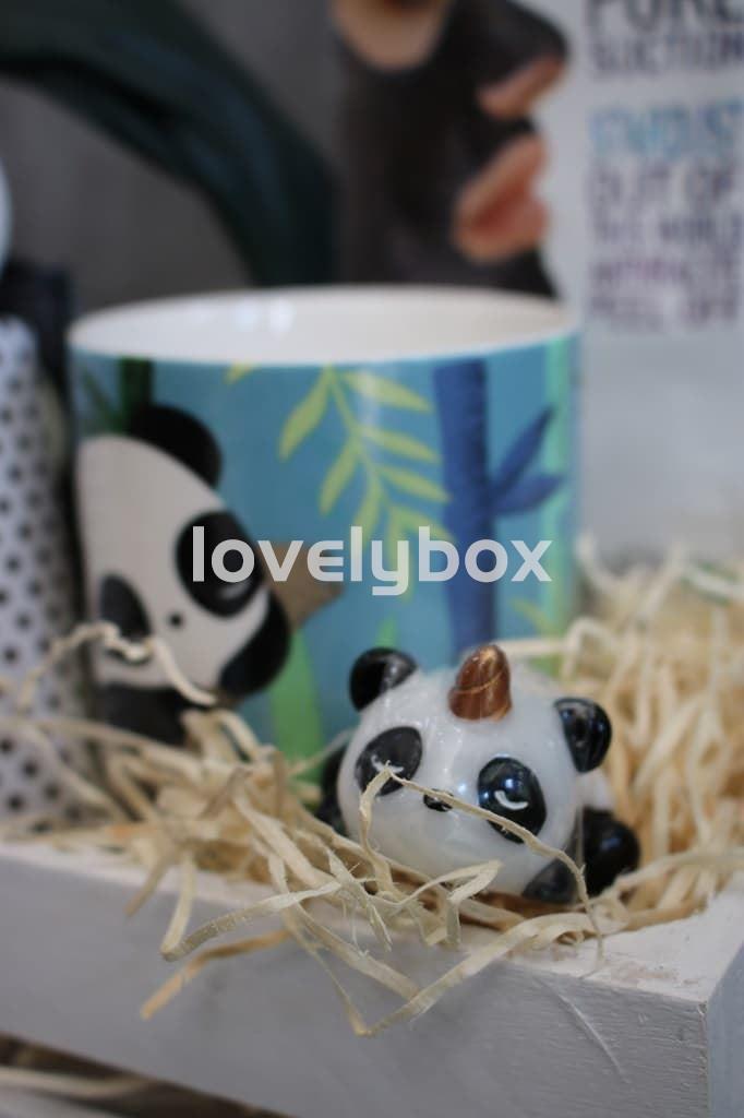 Caja Oso Panda - regalo personalizado - Imagen 4